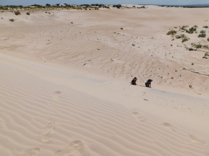 Boys sliding on the Port Gibbon sand dune