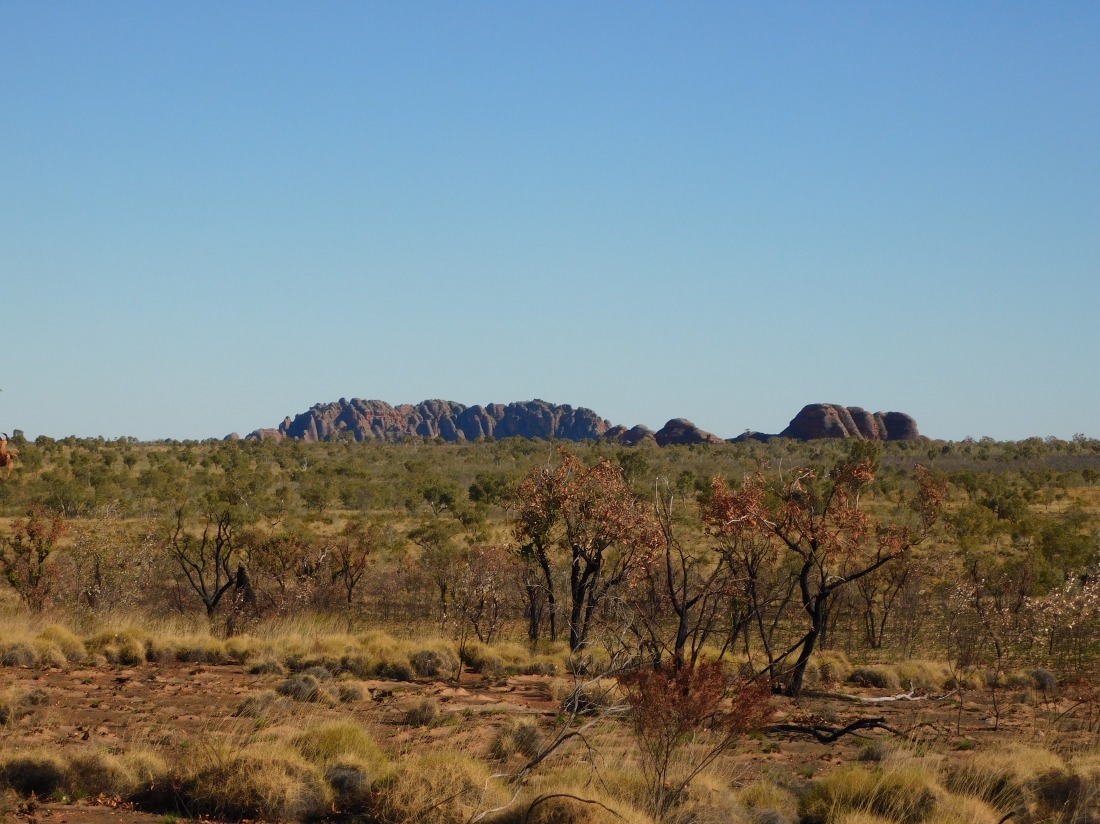 Bungles from a distance