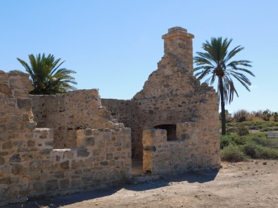 Dalhalsie- homestead ruins (2)