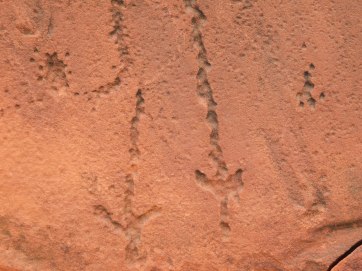 Ewinga Petroglyphs (2)