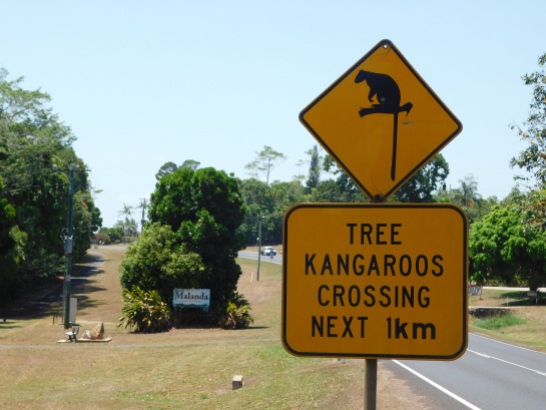 Tree Kangaroo sign